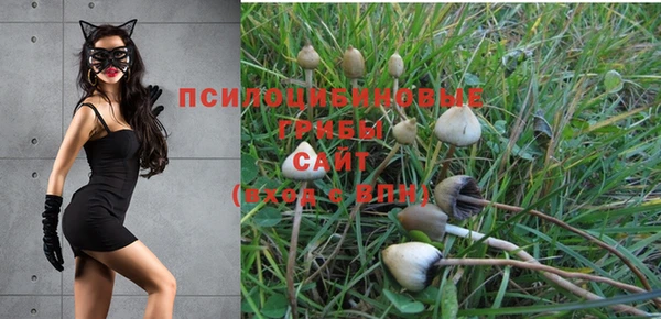 герыч Алексеевка