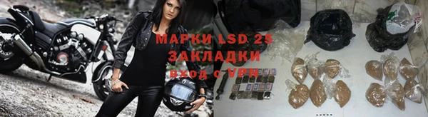 амф Алзамай