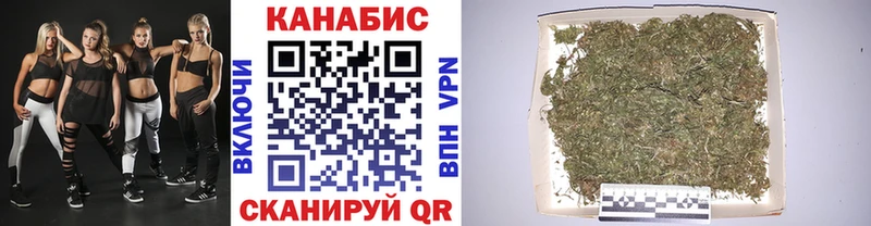 Марихуана сатива Обнинск